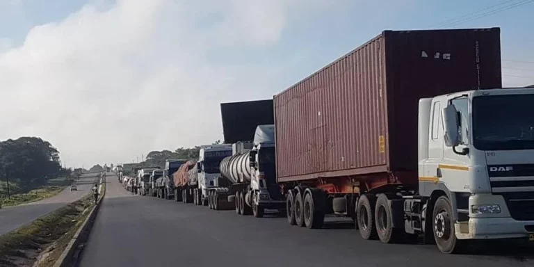 Congo plans border post expansion as mining trucks endure up to 60 km queues