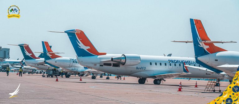 Proflight Zambia Expands Flights to Boost Safari Tourism